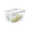 Gastromax Rectangular Lunch Box, 0.45 Litre Capacity, Transparent/White