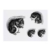 4 x 'Squirrel' Temporary Tattoos (TO00048431)