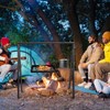 HONYTA Campfire Swing Cooking Grill Stand, Collapsible Campfire Cooking Rack