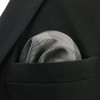 S1 SHLAX&WING Check Grey Men's Necktie 100% Silk, 12.6 x