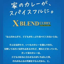 House Foods Cross Blend Curry, Medium Spicy, 4.9 oz (140 g) x 20 Packs