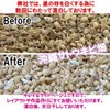 Okinawa Ishigaki Island Star Sand Pack, 3.5 oz (100 g)