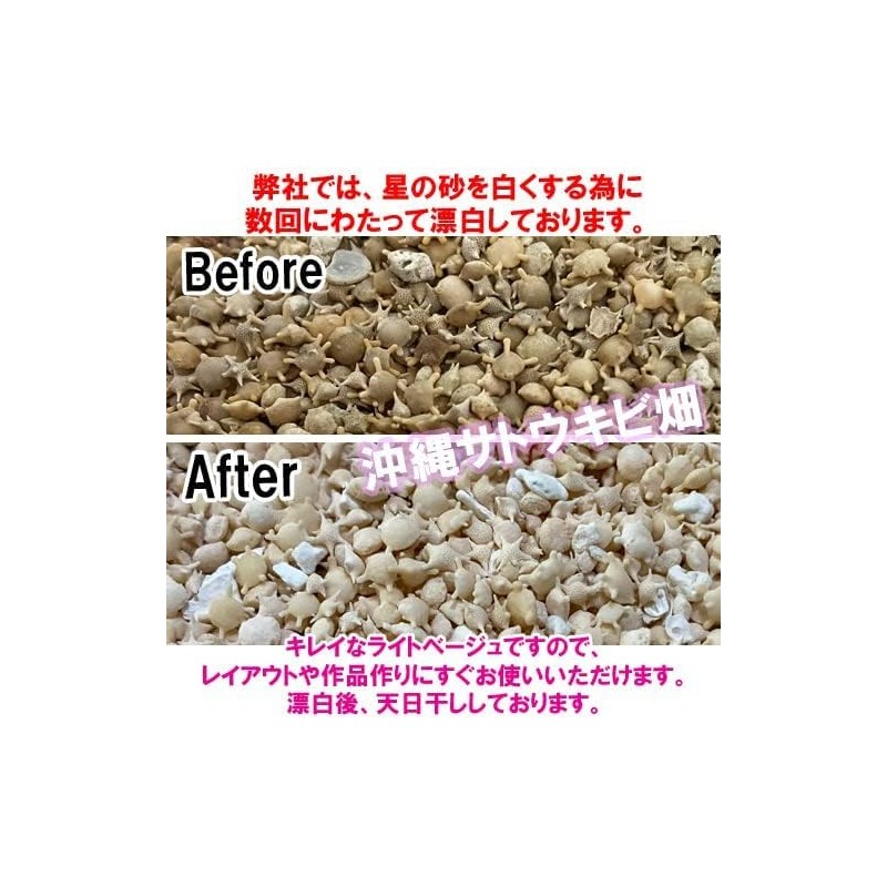 Okinawa Ishigaki Island Star Sand Pack, 3.5 oz (100 g)