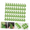 Ciieeo Peelers 100pcs Fruit Opener Set Peeler The Skin Off
