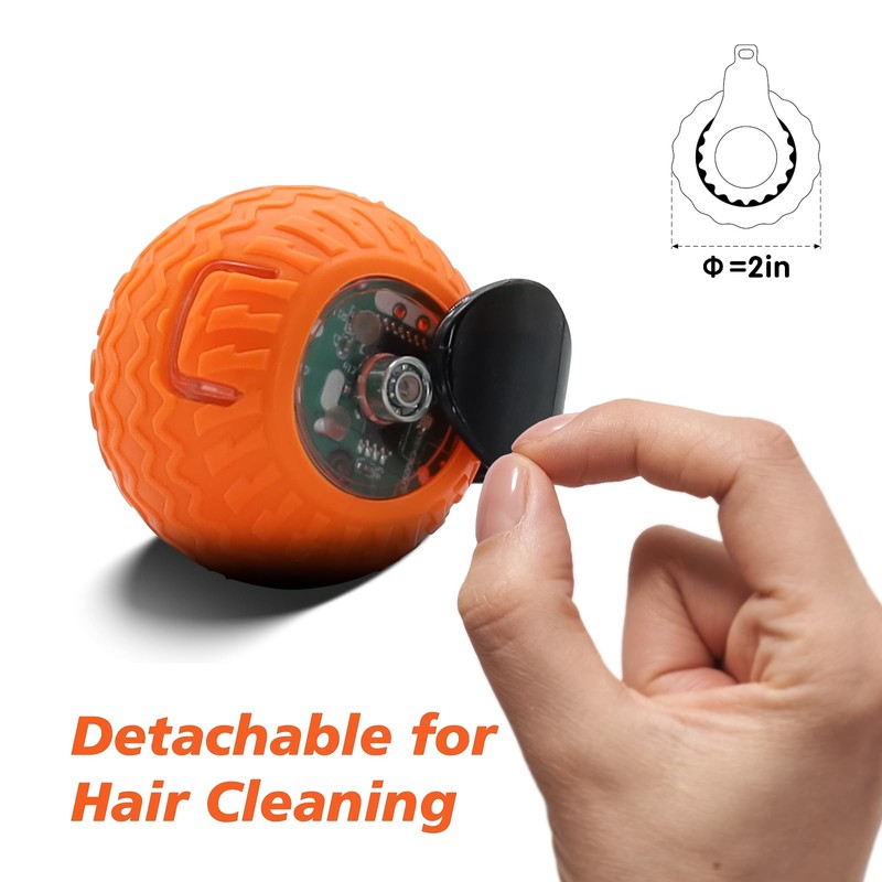 wisafoi 2Pcs Interactive Cat Toy for Indoor Cats, Speedy Ball