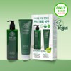 Titaned [Cheongdam Shop Pick] Titaned Lemon Balm Root Volume Shampoo
