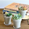 Plant Saucer Blue Ceramic Deep Pot Tray 2 Pack 3.5-4