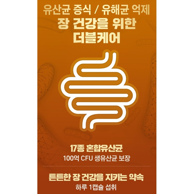 Large intestine lactic acid bacteria Bifidus lactic acid bacteria that