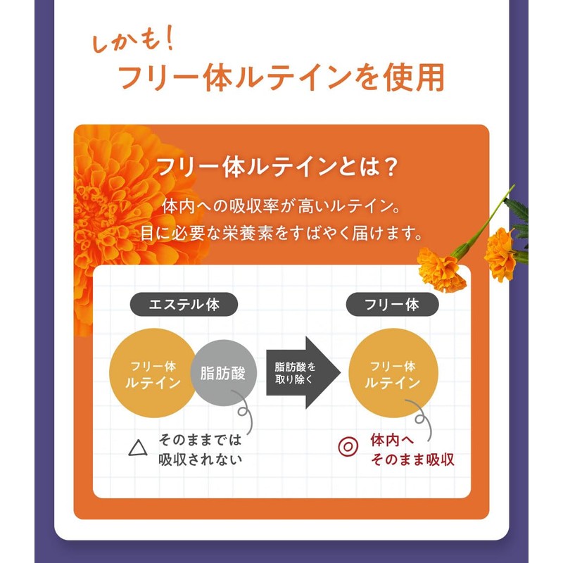 高濃度 ルテイン100mg ブルーベリー70mg ゼアキサンチン5mg 60粒 メグスリノキ アスタキサンチン ビルベリー アサイー ビタミンA配合