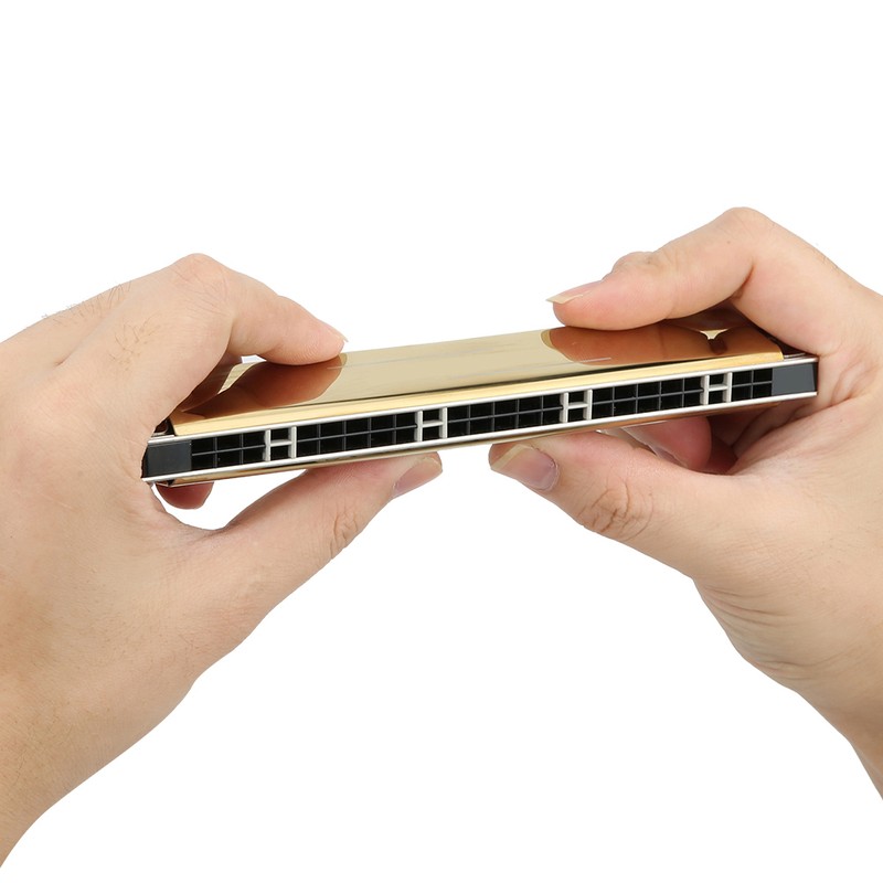 24 Hole Tremolo Harmonica Harp Wind Musical Instrument for Beginner