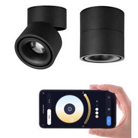 LED Dimmable Ceiling Spotlight Indoor 360°Adjustable -Tuya Smart Life Surface Mounted 12W COB Directional Art Lighting-Hard Wired Ceiling Downlight for Mural Display Home shop (Black, 3.94"*4.02")