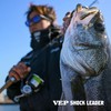 Morris Shock Leader Varibus VEP Nylon 50m No. 4 16lb