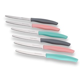 ECHTWERK Set di 6 coltelli da pane (acciaio inox con bordo seghettato, manico in plastica, 2 rosa, 2 grigi e 2 turchesi)