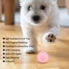 Smart Interactive Cat Ball Toy Automated Rolling 360 Degree Rotating