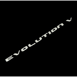 Unbranded TRUNK LID BADGE EMBLEM FOR MITSUBISHI LANCER EVO EVOLUTION V 5 LETTERS CHROME