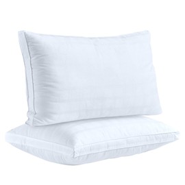 Duck Duck Goose Hypo-Allergenic Cotton Down Alternative White Microfiber Pillow, Queen - 2 Pack