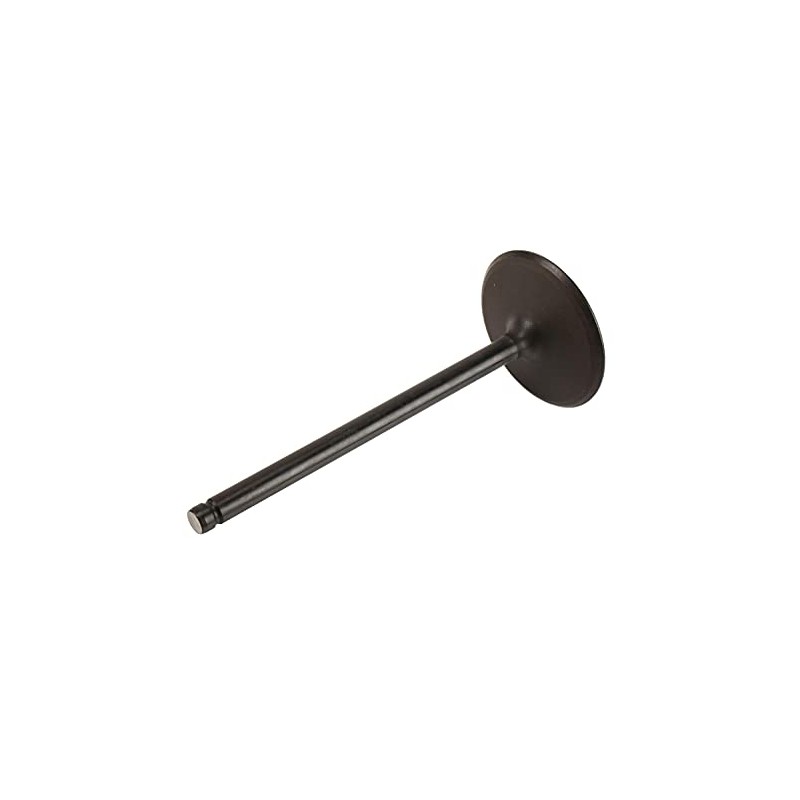 GM Parts Genuine 12629513 Engine Intake Valve