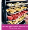 KAMVIVA Vietnam's Freeze Dried Dragon Fruit, 227g/8.0 Oz, 100% Natural,