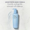 Estée Lauder Take It Away Liquid Makeup Remover Lotion |
