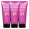 Cerasis 케라시스 케라마이드 극손상 클리닉 트리트먼트 200ml X 3개 Kerashis