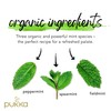 Pukka Herbs | Three Mint Organic Herbal Tea | Spearmint,