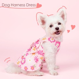 BAOBICUTE Dog Dress Harness Dresses Leash Set for Small Dogs Cute Girl Dog Clothes with Bowknot Puppy Outfits for Shih Tzu Yorkies Chihuahua