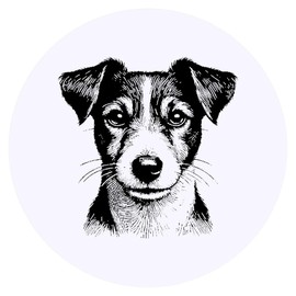 24 x 40mm Round 'Jack Russell Dog' Stickers (SK00068283)