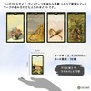 Lenormand Oracle Cards, Oracle Cards, Includes Instruction Manual (English Language