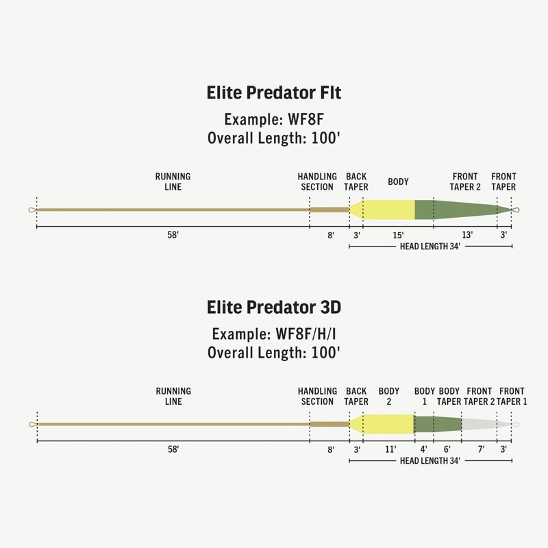 RIO Elite Predator Fly Lines - WF9 Float/2ips/3ips