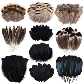 300 Pcs Small Feathers 10 Style Mixed Spotted Decorative Natual Pheasant Feather for DIY Crafts Clothing Jewelry Hair DecorationColor: Natural+Black