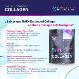 ETERNAL NUTRITION Péptidos de Colágeno Hidrolizado Bovino Reforzado con NAD+ | Colágeno Tipos I, II y III (500 g · 50 Porciones) | con Precursores NAD+ | Piel, Articulaciones, Huesos y Longevidad