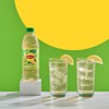 Lipton Green Tea Citrus, 16.9 Fl Oz Bottles (Pack of