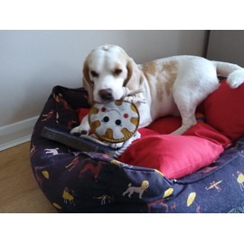 Ruggles Dog Toy - Tough Suede Dog Toy - Tug, throw, chew (Doughnut)