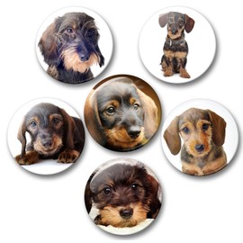 01 Large Refrigerator Magnets with Dachshund Portrait Design Set of 6