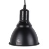 5.5in Reptile Lamp Fixture Uniform Heating Professional Shallow Dome Lamp