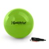 Pezzi Original Pezziball Standard 75 cm with Pump Combi Gym