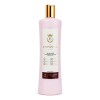 Kit Alaciado Formula Clasica 500ml