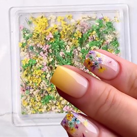 Dried Flowers for Nails -1Box 3D Dried Flower Nail Sticker Charms Natural Floral Mix Dry Colorful Decals for Nails Art Design Spring Small Flowers Nail Art Resin DIY Craft Summer Manicure Decorations