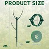 5pack Monstera Plant Support – Stackable Indoor & Outdoor Support,