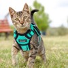 Cat Harness with Lead, Escape Proof Cat Lead Set, Adjustable,