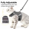 pangdi Cat Harness and Leash Escape Proof Kitten Harness Cat