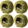 Tinideya 4 Pcs 4 x 4 x 3 Inch Mossy