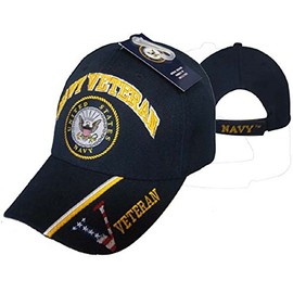 AES Navy Veteran Emblem Seal Crest Blue Patriotic Flag Embroidered hat