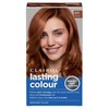 Clairol Lasting Colour Permanent Hair Dye | Perfect Grey Coverage