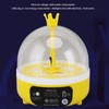 Mini Egg Incubator, Transparent Lid Design, Small Poultry Incubator, High