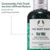The Body Shop Tea Tree Anti-Imperfection Daily Solution, 1.69 Fl