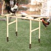 Extra Large Chicken Perch Toys, Wooden Chick Perch Stand with
