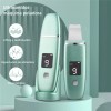 Burkey Limpiador Ultrasónico Portatil Skin Scrubber Limpieza Facial