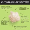 Just Ingredients Coconut Lime Electrolyte Powder – 30 Servings