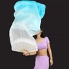 WXHVLTT 2 Pairs Artificial Silk Belly Dance Fans, 1.8 Meter/